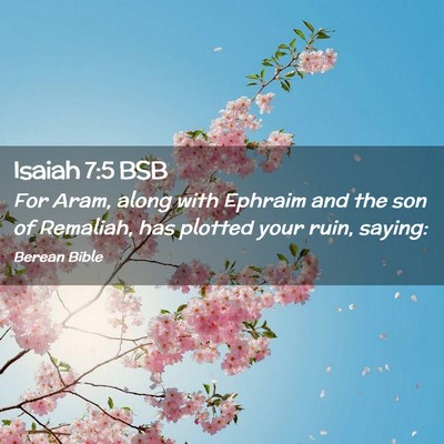 Picture 02 - Isaiah 7:5 BSB - For Aram, along with Ephraim and the son of - Bible Verse Picture