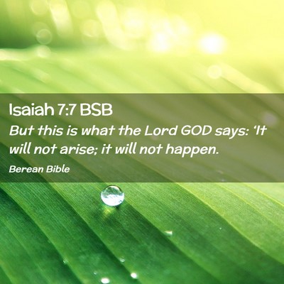 Picture 02 - Isaiah 7:7 BSB - But this is what the Lord GOD says: ‘It will - Bible Verse Picture