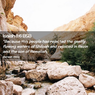 Picture 02 - Isaiah 8:6 BSB - “Because this people has rejected the gently - Bible Verse Picture