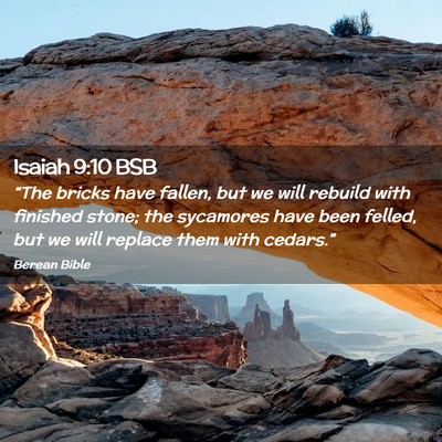 Picture 02 - Isaiah 9:10 BSB - “The bricks have fallen, but we will rebuild - Bible Verse Picture
