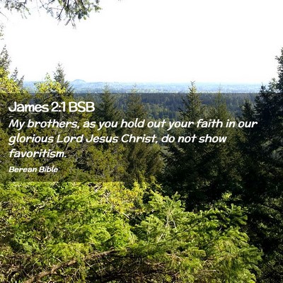 Picture 02 - James 2:1 BSB - My brothers, as you hold out your faith in our - Bible Verse Picture
