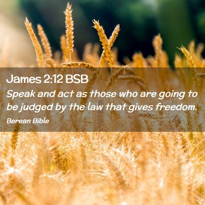 Picture 02 - James 2:12 BSB - Speak and act as those who are going to be judged - Bible Verse Picture