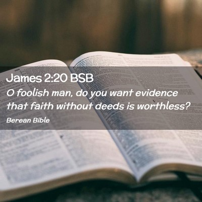 Picture 02 - James 2:20 BSB - O foolish man, do you want evidence that faith - Bible Verse Picture