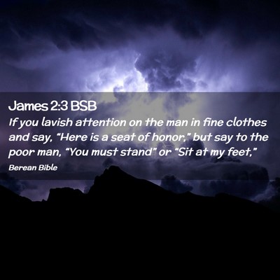 Picture 02 - James 2:3 BSB - If you lavish attention on the man in fine - Bible Verse Picture