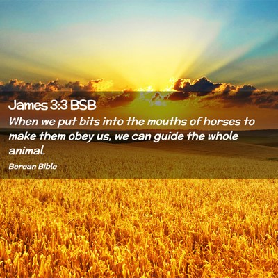 Picture 02 - James 3:3 BSB - When we put bits into the mouths of horses to - Bible Verse Picture