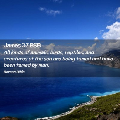 Picture 02 - James 3:7 BSB - All kinds of animals, birds, reptiles, and - Bible Verse Picture