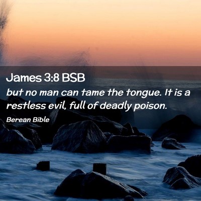 Picture 02 - James 3:8 BSB - but no man can tame the tongue. It is a restless - Bible Verse Picture