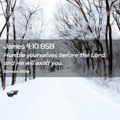 Picture 02 - James 4:10 BSB - Humble yourselves before the Lord, and He will - Bible Verse Picture