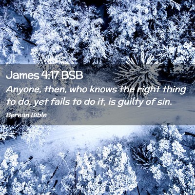Picture 02 - James 4:17 BSB - Anyone, then, who knows the right thing to do, - Bible Verse Picture