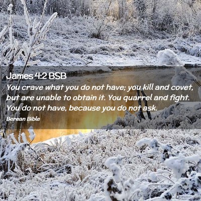 Picture 02 - James 4:2 BSB - You crave what you do not have; you kill and - Bible Verse Picture