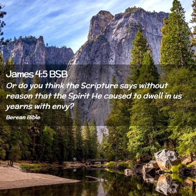 Picture 02 - James 4:5 BSB - Or do you think the Scripture says without reason - Bible Verse Picture
