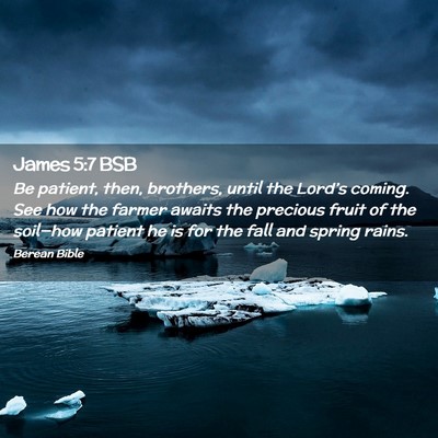 Picture 02 - James 5:7 BSB - Be patient, then, brothers, until the Lord’s - Bible Verse Picture