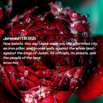 Picture 02 - Jeremiah 1:18 BSB - Now behold, this day I have made you like a - Bible Verse Picture