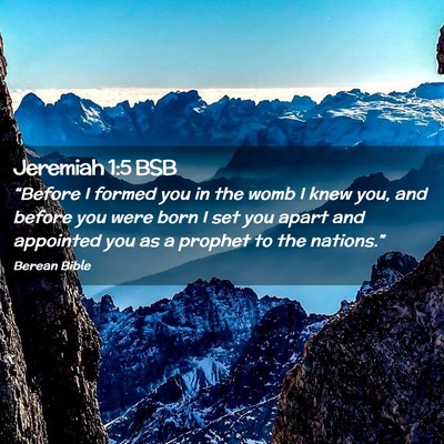 Picture 02 - Jeremiah 1:5 BSB - “Before I formed you in the womb I knew you, - Bible Verse Picture