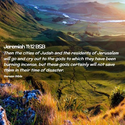 Picture 02 - Jeremiah 11:12 BSB - Then the cities of Judah and the residents of - Bible Verse Picture