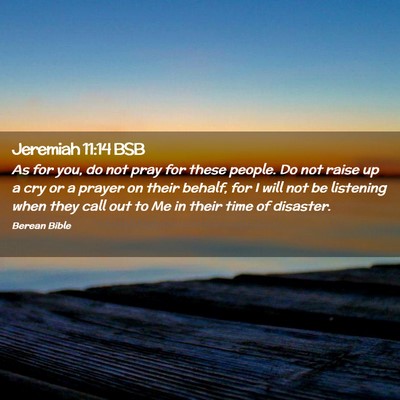 Picture 02 - Jeremiah 11:14 BSB - As for you, do not pray for these people. Do not - Bible Verse Picture