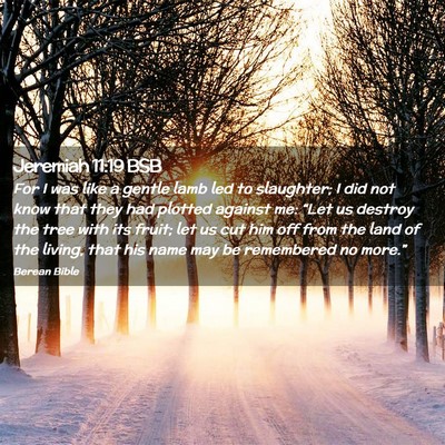 Picture 02 - Jeremiah 11:19 BSB - For I was like a gentle lamb led to slaughter; I - Bible Verse Picture
