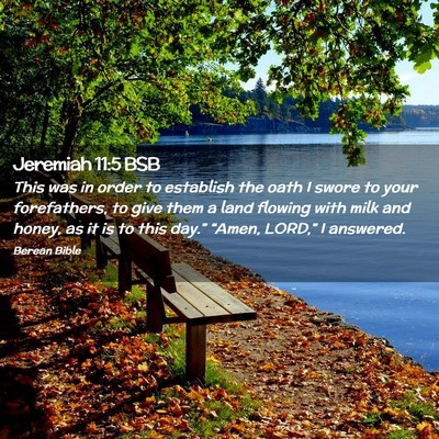 Picture 02 - Jeremiah 11:5 BSB - This was in order to establish the oath I swore - Bible Verse Picture