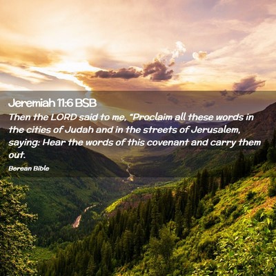 Picture 02 - Jeremiah 11:6 BSB - Then the LORD said to me, “Proclaim all these - Bible Verse Picture