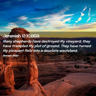 Picture 02 - Jeremiah 12:10 BSB - Many shepherds have destroyed My vineyard; they - Bible Verse Picture