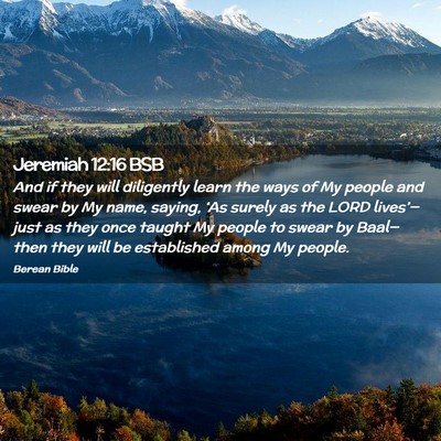 Picture 02 - Jeremiah 12:16 BSB - And if they will diligently learn the ways of My - Bible Verse Picture