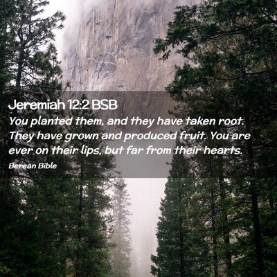 Picture 02 - Jeremiah 12:2 BSB - You planted them, and they have taken root. They - Bible Verse Picture
