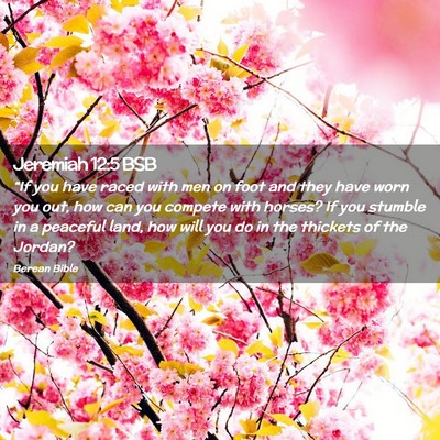 Picture 02 - Jeremiah 12:5 BSB - “If you have raced with men on foot and they - Bible Verse Picture