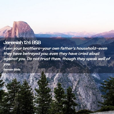 Picture 02 - Jeremiah 12:6 BSB - Even your brothers—your own father’s - Bible Verse Picture