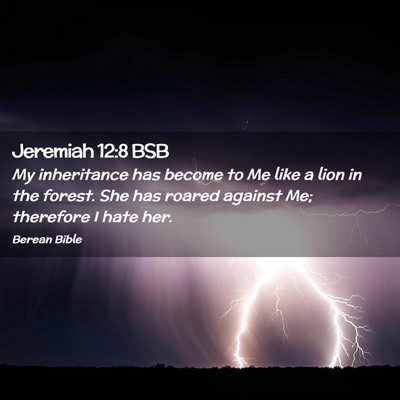 Picture 02 - Jeremiah 12:8 BSB - My inheritance has become to Me like a lion in - Bible Verse Picture