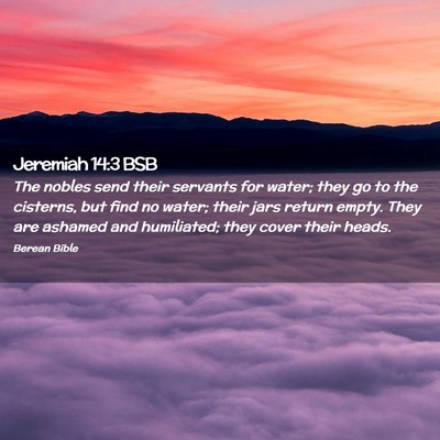 Picture 02 - Jeremiah 14:3 BSB - The nobles send their servants for water; they go - Bible Verse Picture