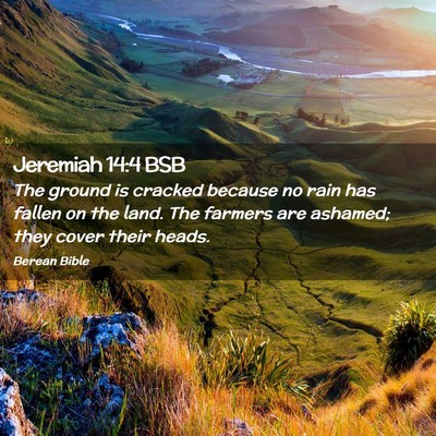 Picture 02 - Jeremiah 14:4 BSB - The ground is cracked because no rain has fallen - Bible Verse Picture