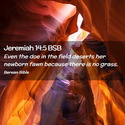 Picture 02 - Jeremiah 14:5 BSB - Even the doe in the field deserts her newborn - Bible Verse Picture