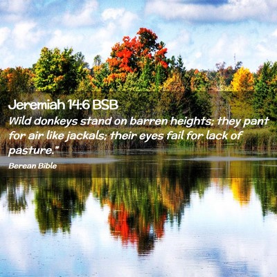 Picture 02 - Jeremiah 14:6 BSB - Wild donkeys stand on barren heights; they pant - Bible Verse Picture