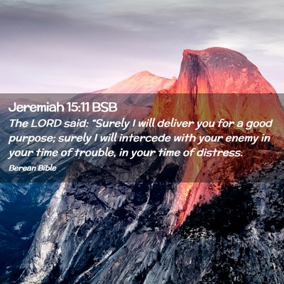 Picture 02 - Jeremiah 15:11 BSB - The LORD said: “Surely I will deliver you for a - Bible Verse Picture
