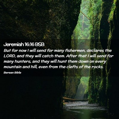 Picture 02 - Jeremiah 16:16 BSB - But for now I will send for many fishermen, - Bible Verse Picture