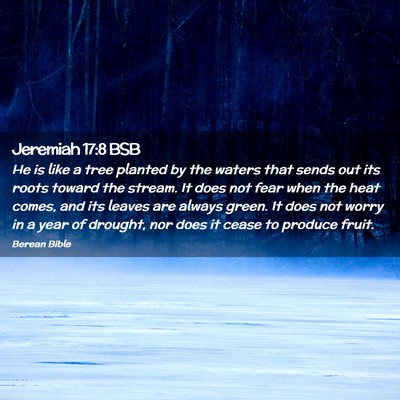 Picture 02 - Jeremiah 17:8 BSB - He is like a tree planted by the waters that - Bible Verse Picture