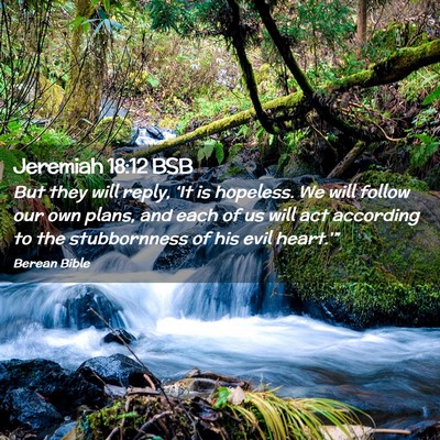 Picture 02 - Jeremiah 18:12 BSB - But they will reply, ‘It is hopeless. We will - Bible Verse Picture