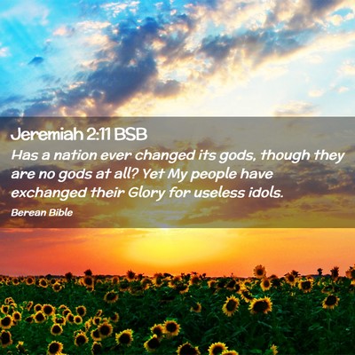 Picture 02 - Jeremiah 2:11 BSB - Has a nation ever changed its gods, though they - Bible Verse Picture