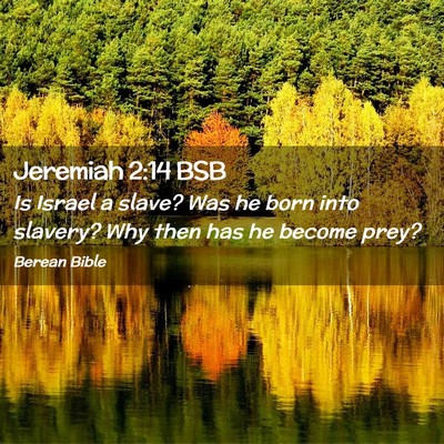 Picture 02 - Jeremiah 2:14 BSB - Is Israel a slave? Was he born into slavery? Why - Bible Verse Picture