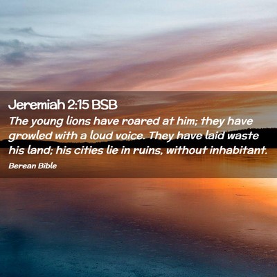 Picture 02 - Jeremiah 2:15 BSB - The young lions have roared at him; they have - Bible Verse Picture
