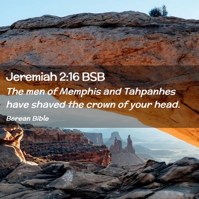 Picture 02 - Jeremiah 2:16 BSB - The men of Memphis and Tahpanhes have shaved the - Bible Verse Picture