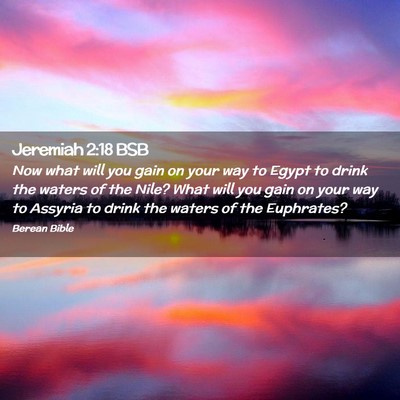 Picture 02 - Jeremiah 2:18 BSB - Now what will you gain on your way to Egypt to - Bible Verse Picture