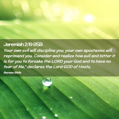 Picture 02 - Jeremiah 2:19 BSB - Your own evil will discipline you; your own - Bible Verse Picture
