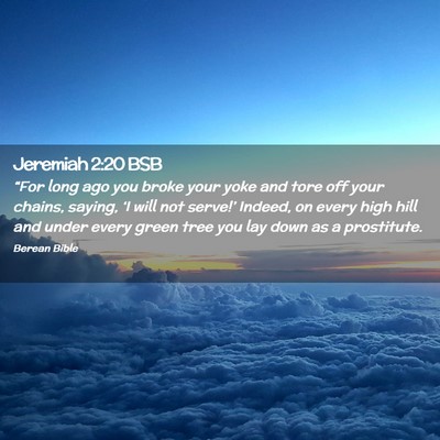 Picture 02 - Jeremiah 2:20 BSB - “For long ago you broke your yoke and tore off - Bible Verse Picture