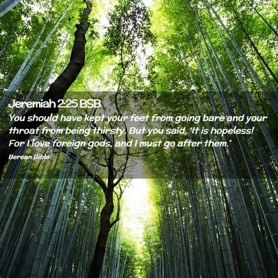 Picture 02 - Jeremiah 2:25 BSB - You should have kept your feet from going bare - Bible Verse Picture