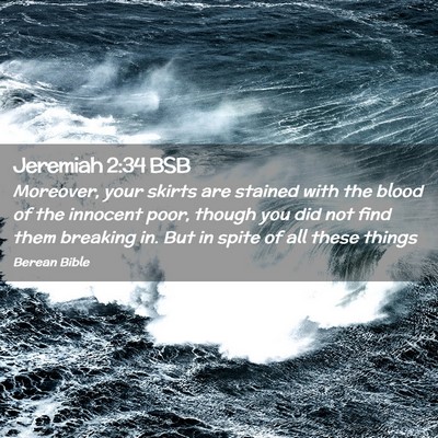 Picture 02 - Jeremiah 2:34 BSB - Moreover, your skirts are stained with the blood - Bible Verse Picture