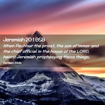 Picture 02 - Jeremiah 20:1 BSB - When Pashhur the priest, the son of Immer and the - Bible Verse Picture