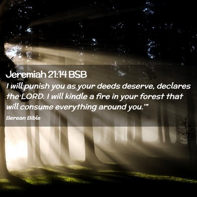 Picture 02 - Jeremiah 21:14 BSB - I will punish you as your deeds deserve, declares - Bible Verse Picture