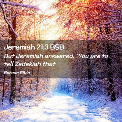 Picture 02 - Jeremiah 21:3 BSB - But Jeremiah answered, “You are to tell - Bible Verse Picture
