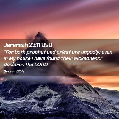 Picture 02 - Jeremiah 23:11 BSB - “For both prophet and priest are ungodly; even - Bible Verse Picture